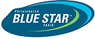 Logo for Blue Star