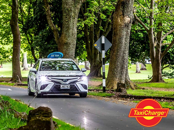 taxicharge taxi in park