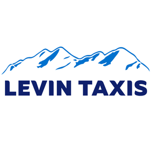 Levin Taxis